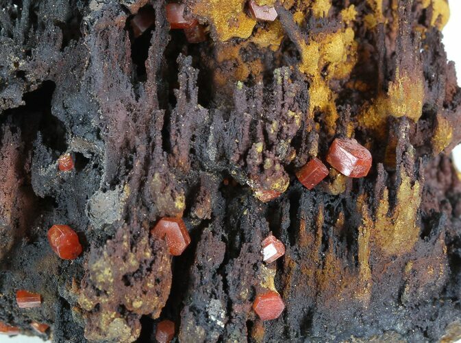 Red Vanadinite Crystals on Manganese Oxide - Morocco #38497